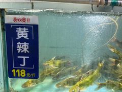 -亮欢寨酸汤鱼(沙冲路店)