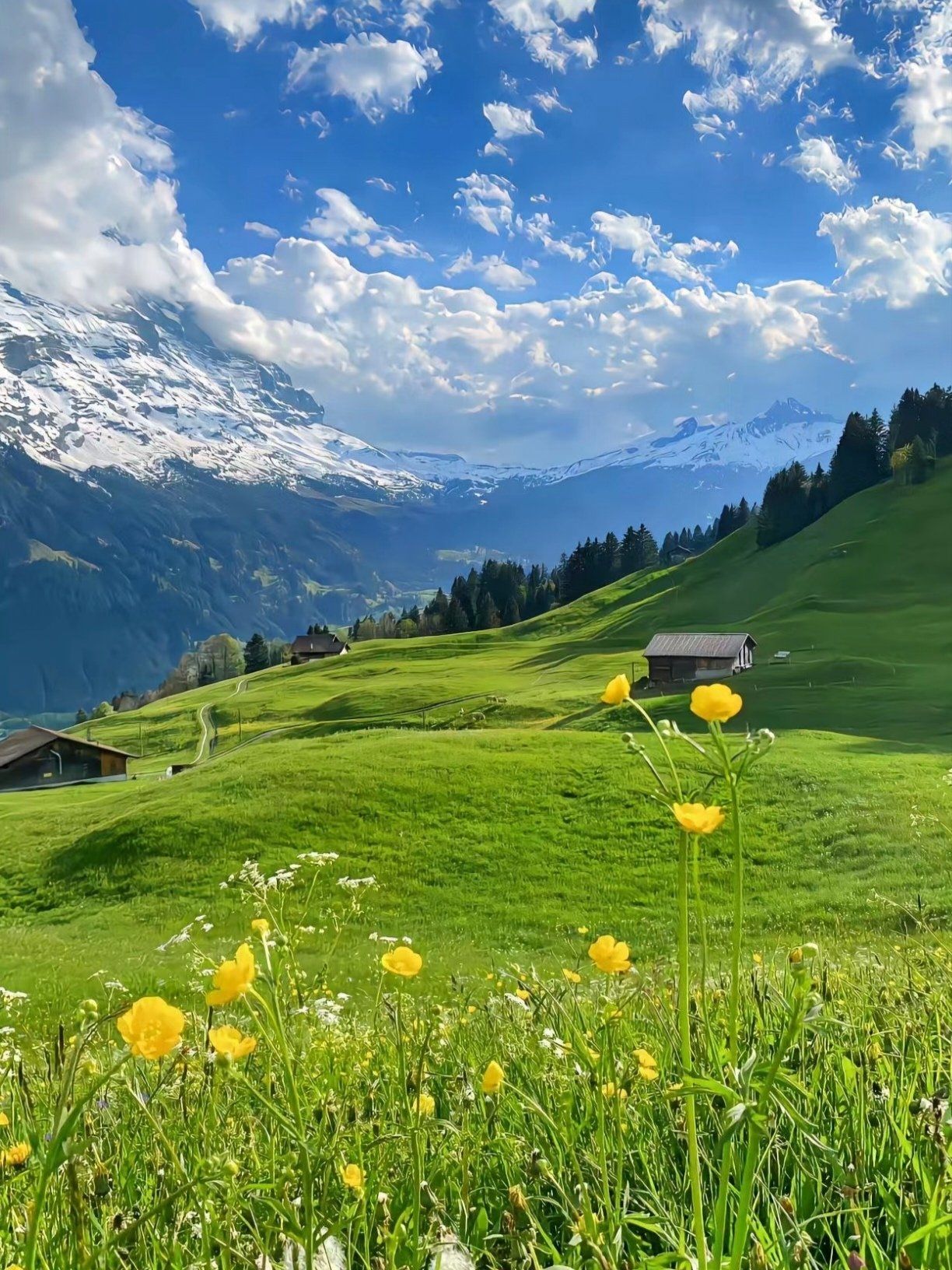 让人心情愉悦的风景