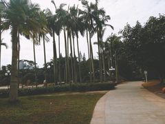 -荔枝公园-小平画像广场