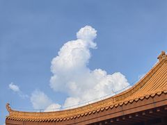 -深圳仙湖植物园