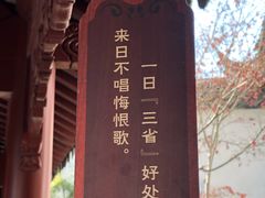 -檀园