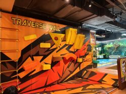 -卡通尼·Safari非洲探索乐园·生日会(金桥国际商业广场店)