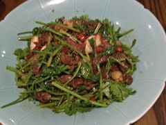 小炒黄牛肉-广东道至正餐厅(区庄店)