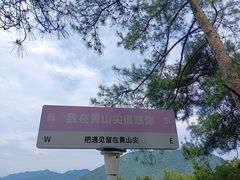 -千岛湖东南湖区