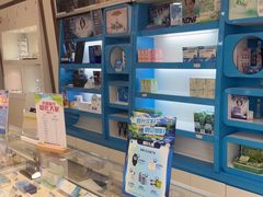 -波涛眼镜(师大路店)