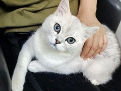 -宠颐生嘉德动物医院