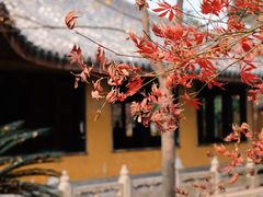 -北寺塔