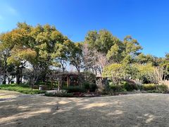 -徐家汇源景区-衡山公园