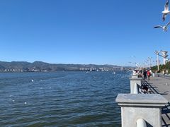 -海埂大坝