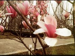 -首都师范大学(良乡校区)