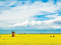 -青海湖国家重点风景名胜区