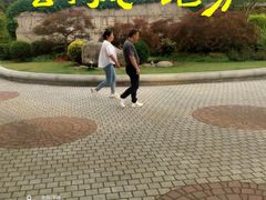 -嘉定紫藤园