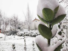 -双东酒店(东关街店)