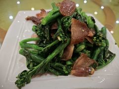 -鸿达渔港