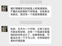 -安安宠医宠物医院·异宠·犬猫内科(岳阳分院)