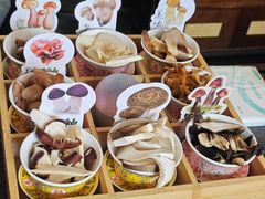 -菌自由丨野生菌火锅特色庭院餐厅(丽江古城店)