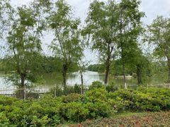 -艾溪湖湿地公园