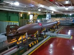 -泰达航母主题公园