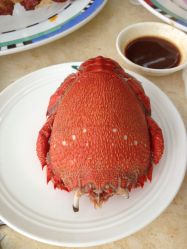 -阳光五洲大酒店·宴会厅