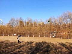 -长白岛森林公园