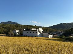 -塔川景区