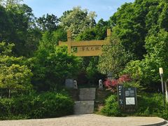 -南京老山国家森林公园