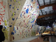 -成都大松果马达攀岩馆(金石店)