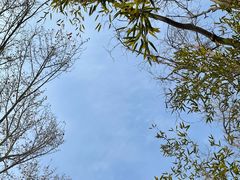 -春晖园度假酒店温泉