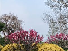 -北坞公园
