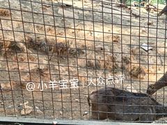 -昆明动物园