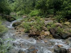 -广州白江湖森林公园