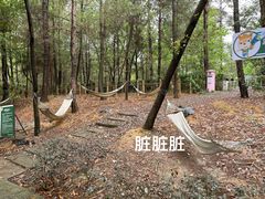-成都松鼠部落