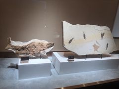 -抱璞文化展示中心