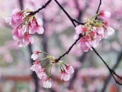 -静安雕塑公园