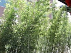 -竹雨堂创意中国菜(裕华店)