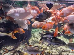 -太平洋海底世界