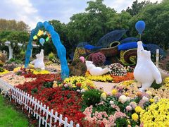 -上海共青森林公园