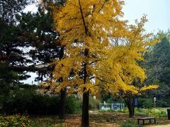 -国家植物园南园