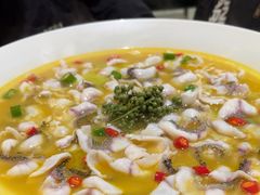 -青花椒花椒鱼(合生汇店)