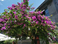 -海韵人家.海景花园经典云南菜(双廊店)