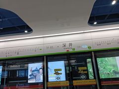 -长洲岛