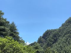 -苍山感通索道