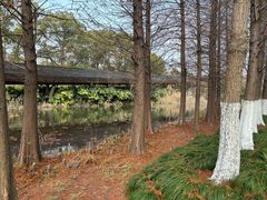 -昆山城市生态森林公园