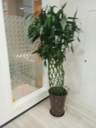 -雍禾植发全国连锁