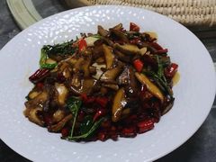 -山大王菌莊