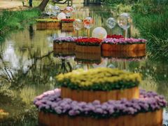 -上海共青森林公园