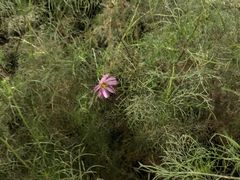 -回龙观体育文化公园