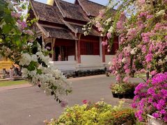 -帕辛寺