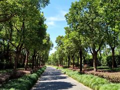 -上海海湾国家森林公园