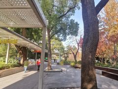 -兰溪青年公园